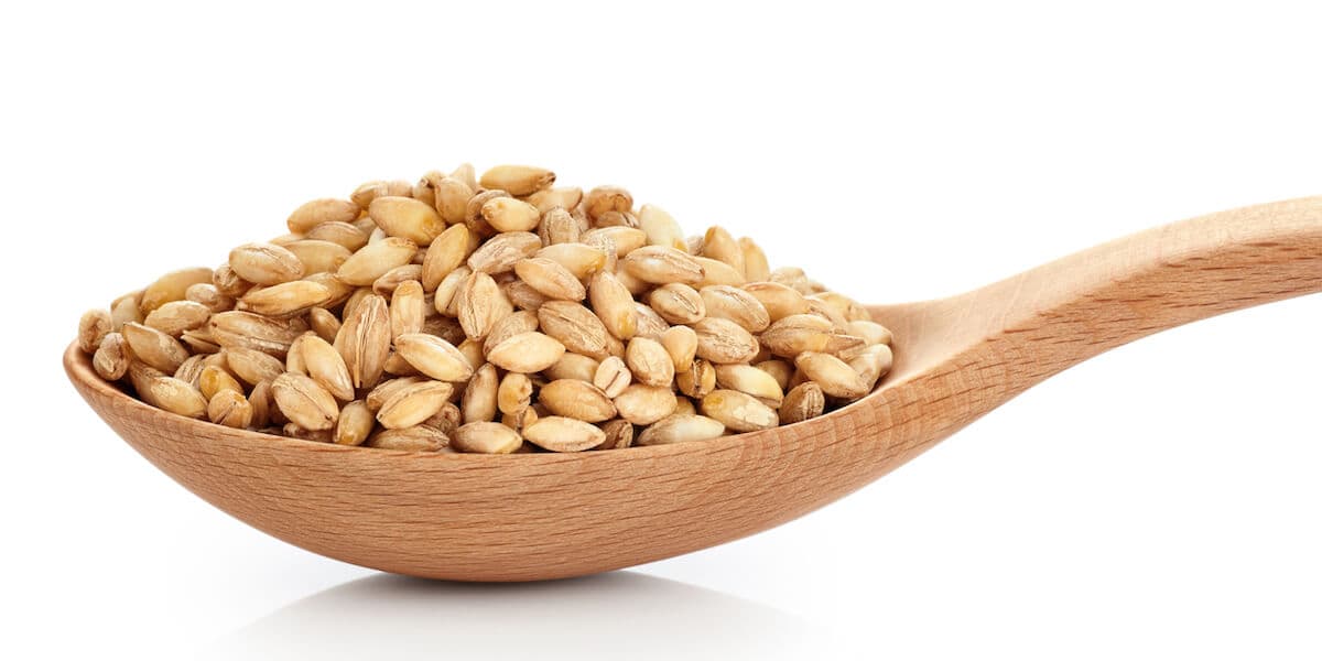 Pearl barley