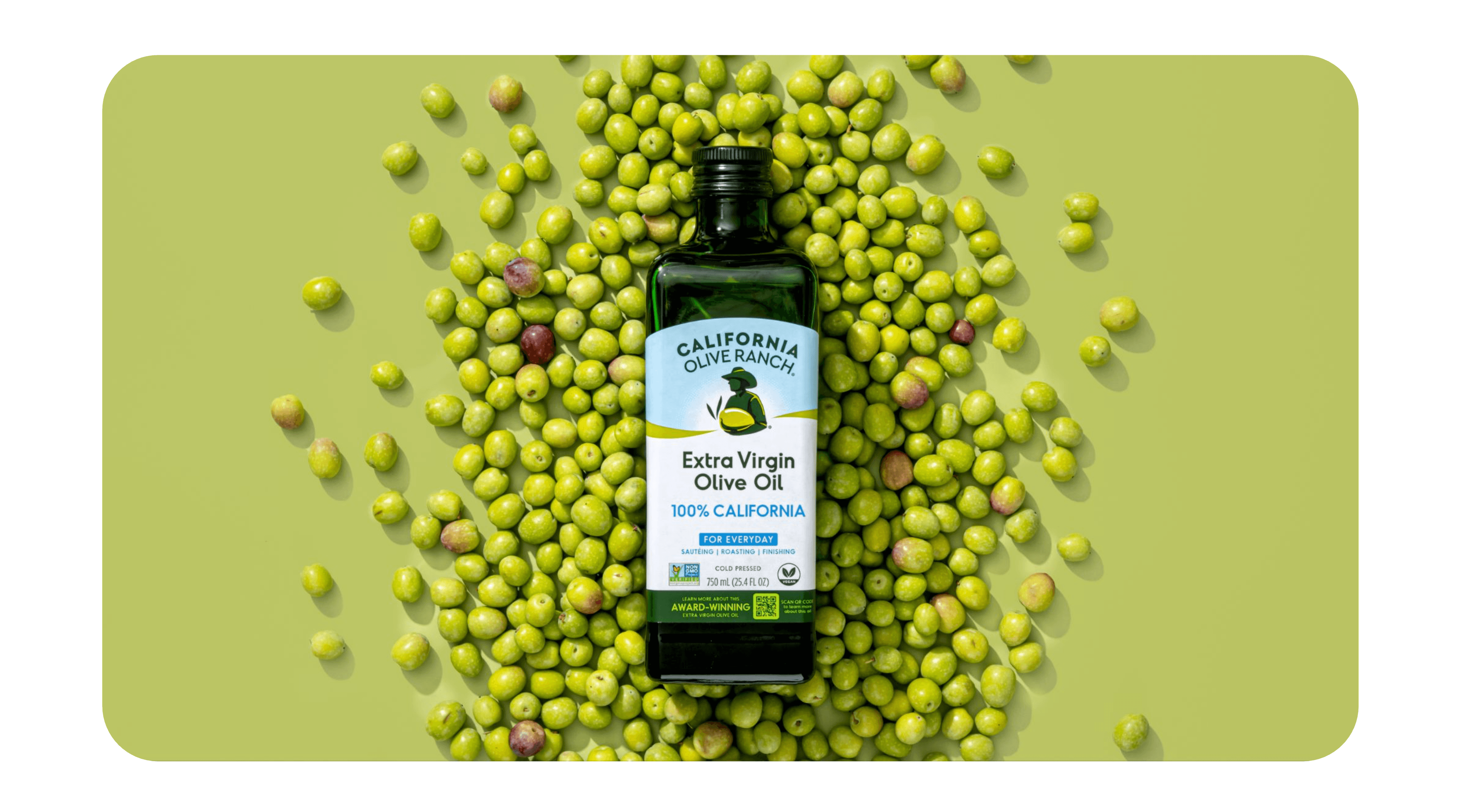 Screenshot 2026-03-02 at 11.01.52 AM.png