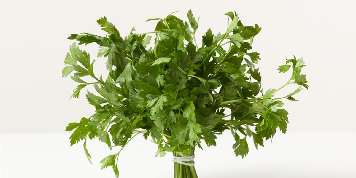 Parsley