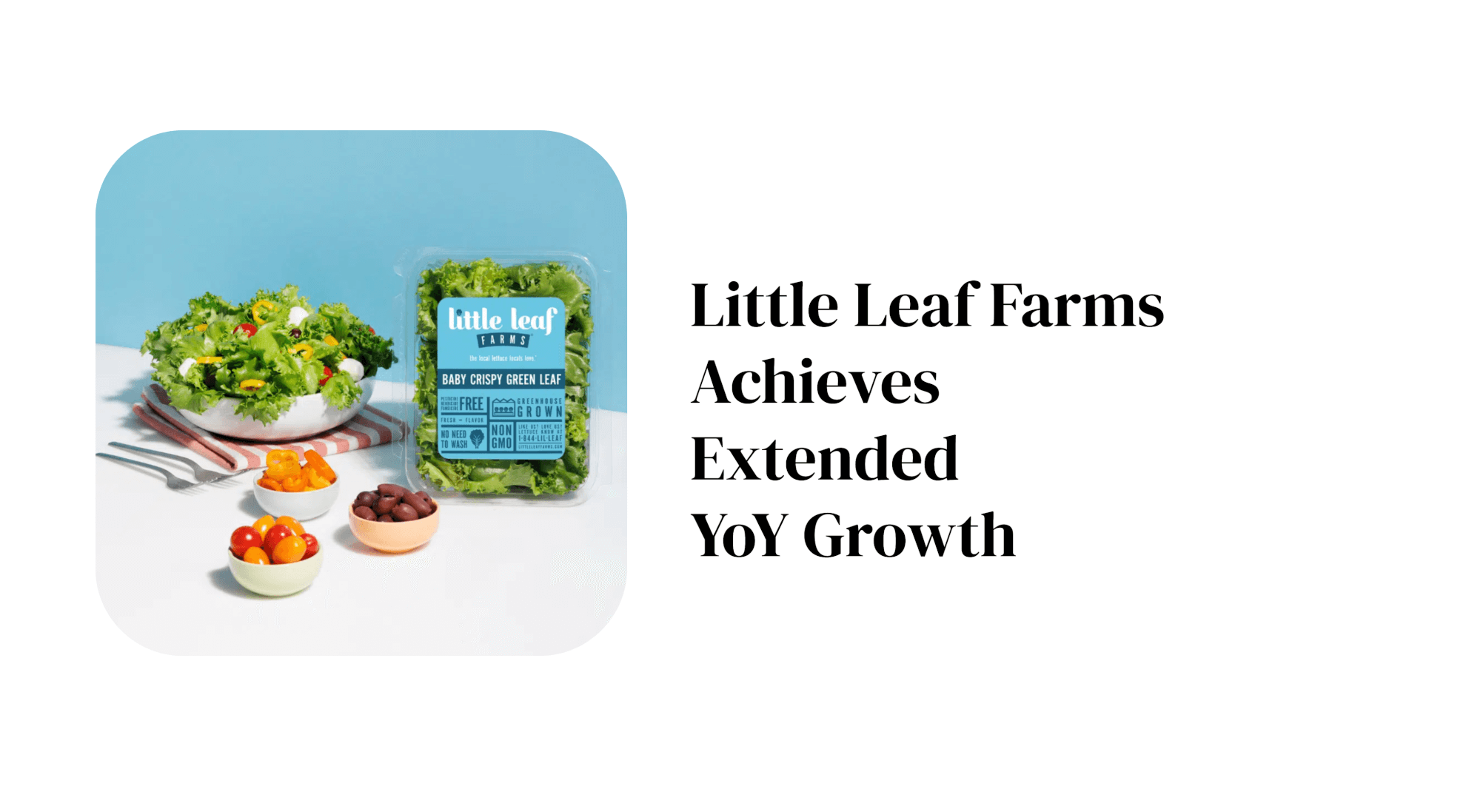 Screenshot 2025-02-21 at 11.46.18 AM