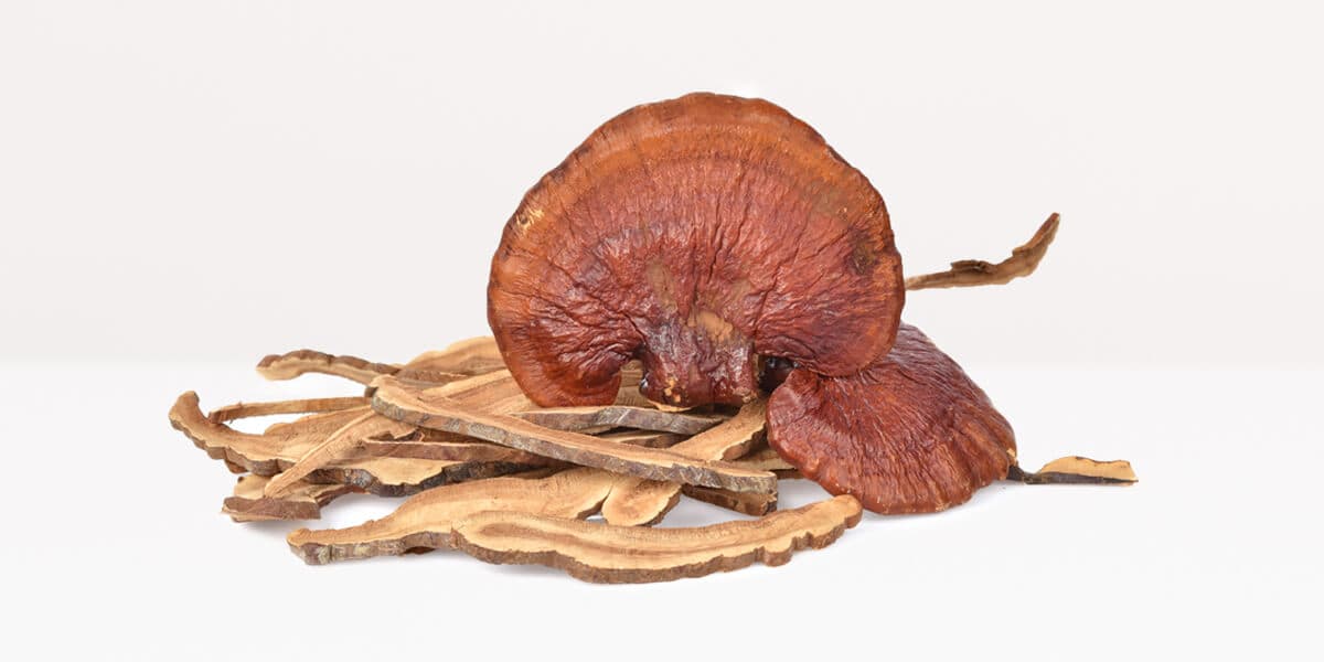 Reishi Mushrooms