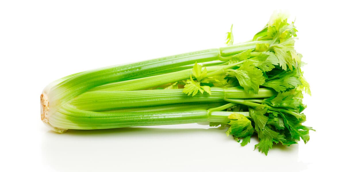 Bunch of Celery
