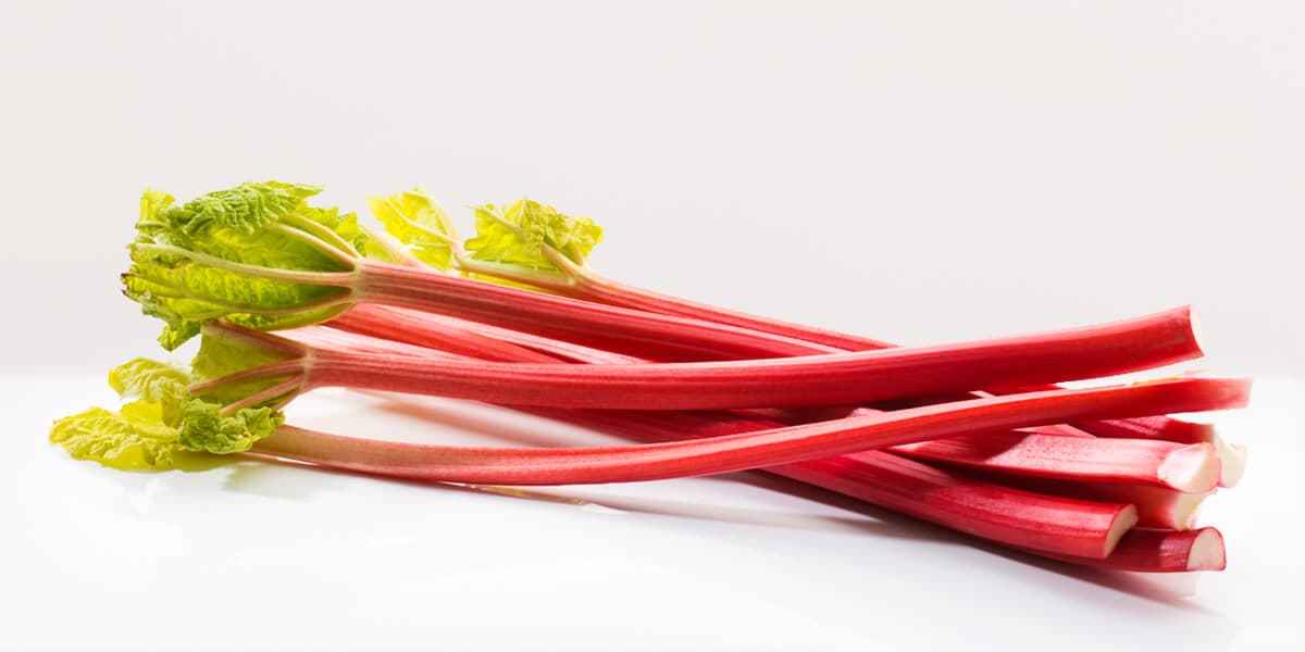 Rhubarb