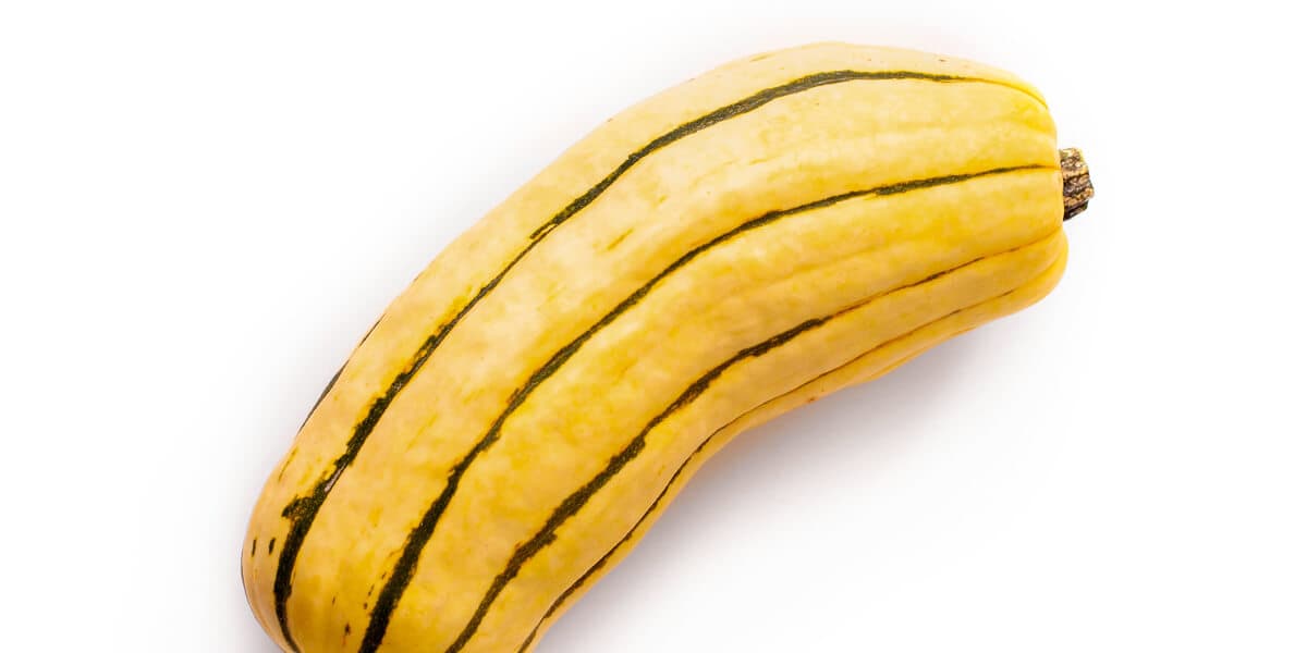 Delicata Squash