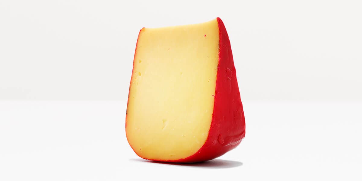 Gouda