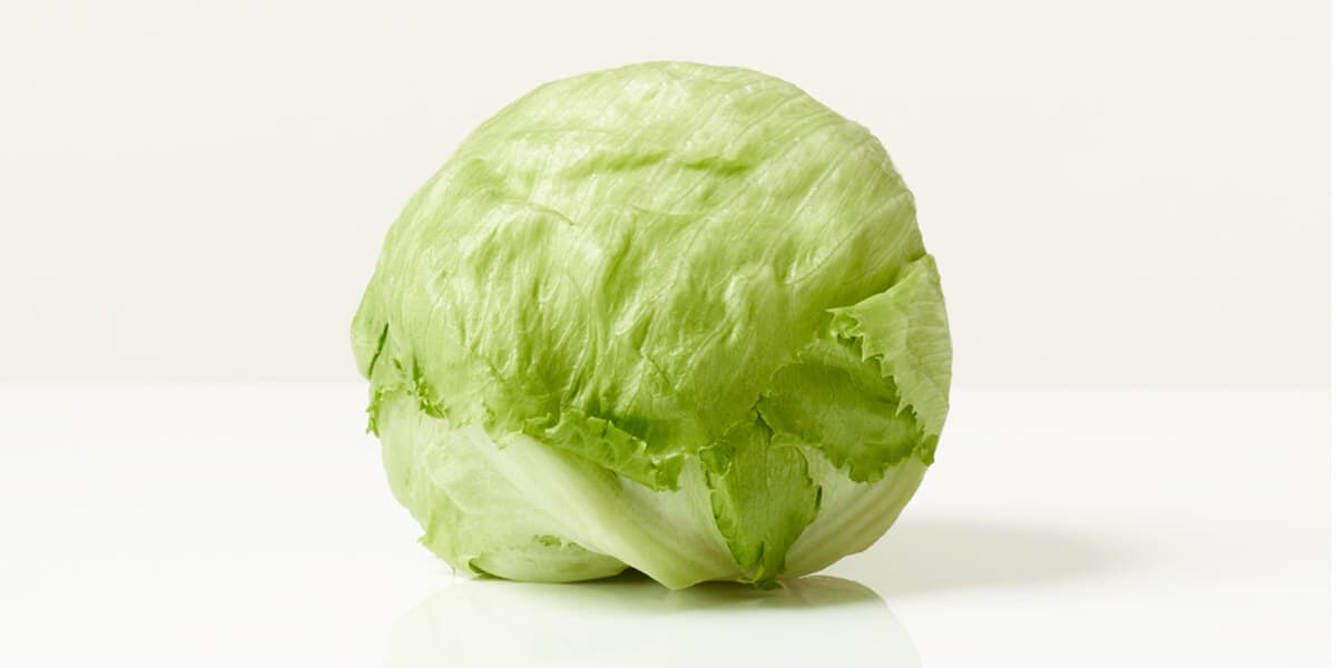 Iceberg Lettuce