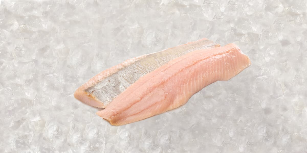 Herring